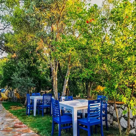 Otel Zeytin Dalı Butik