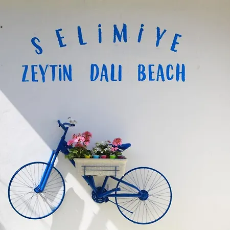 Zeytin Dalı Butik *