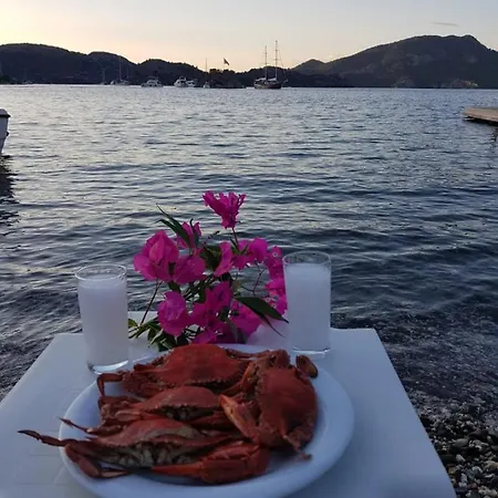 Zeytin Dalı Butik Otel *