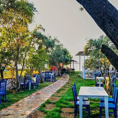 Zeytin Dalı Butik Otel