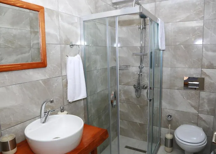 Zeytin Dali Butik מלון