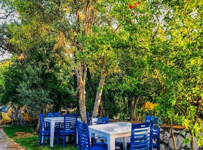 מלון Zeytin Dali Butik