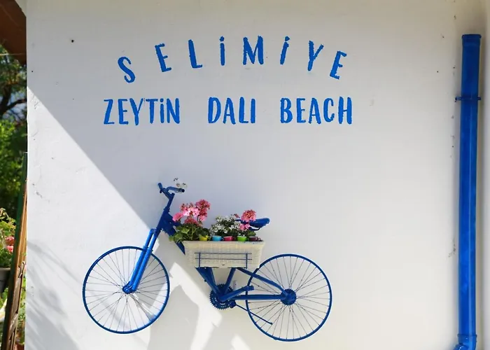 Zeytin Dali Butik *
