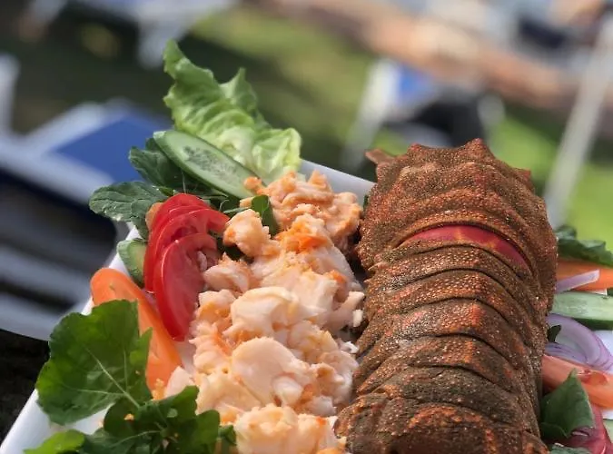 Hotel Zeytin Dali Butik Selimiye (Aegean)