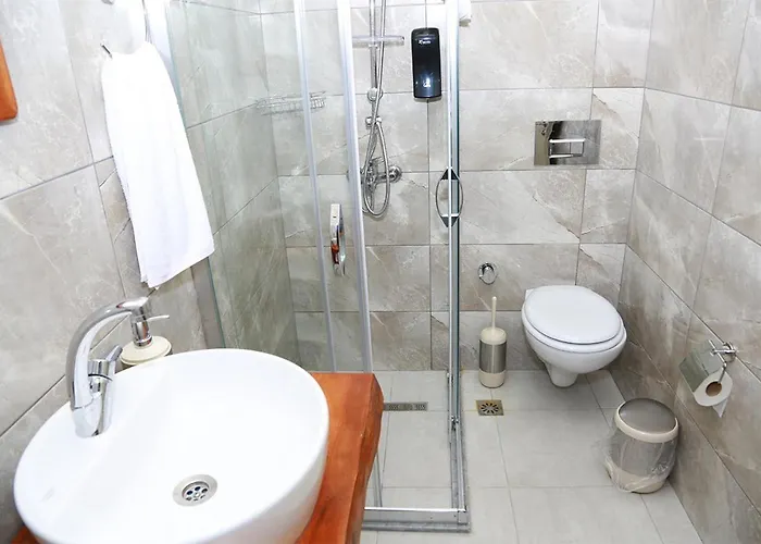 Hotel Zeytin Dali Butik Selimiye (Aegean)